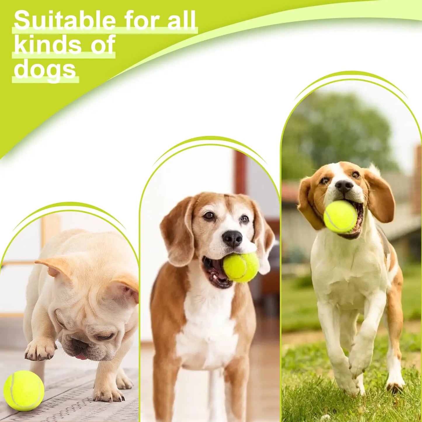 Smart Fetch Dog Ball Launcher