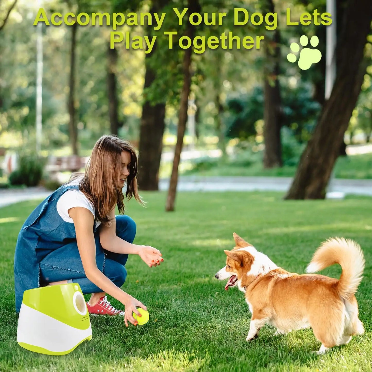 Smart Fetch Dog Ball Launcher